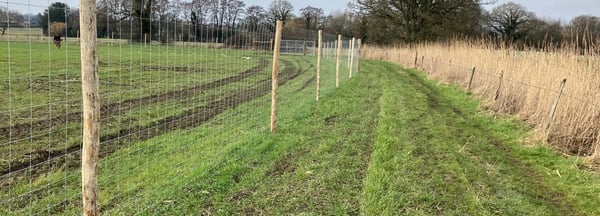 A long stretch of deer fencing running through a grassy field. The fence is made of wire mesh attached to wooden posts that are evenly spaced along the length of the fence.