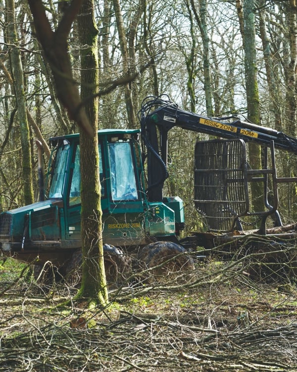 A dark green forestry machine. The surrounding area is densely populated with trees, and there are branches and debris on the ground.