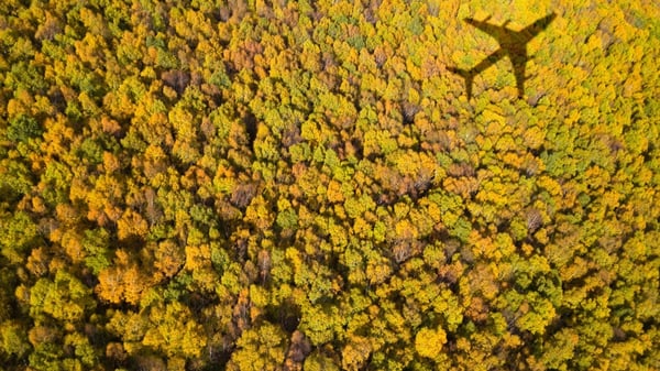 An aerial view of a forest adorned in autumnal hues, with the shadow of an airplane cast upon the tops of the trees.