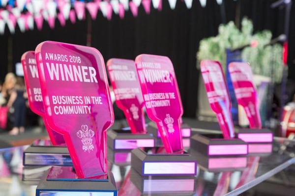bitc_cymru_awards_2018 7299 650x433