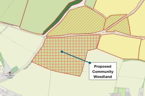 proposed-community-woodland