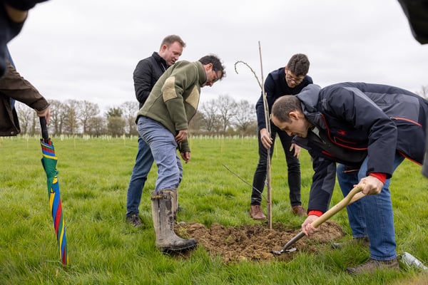 Digging plant