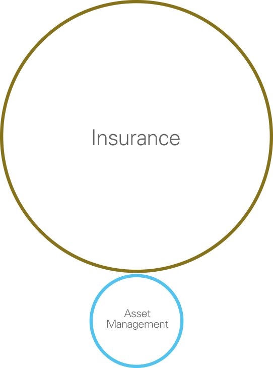 Diagram indicating insurance as the prime type of business in 2006