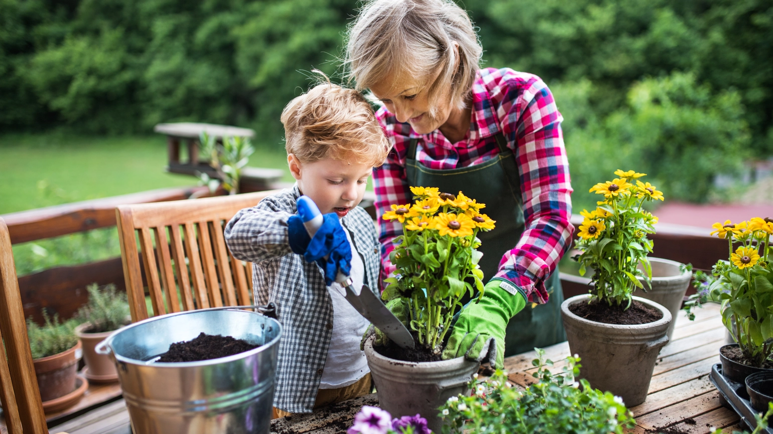 lghf drawdown image (1) lghf drawdown image (1)