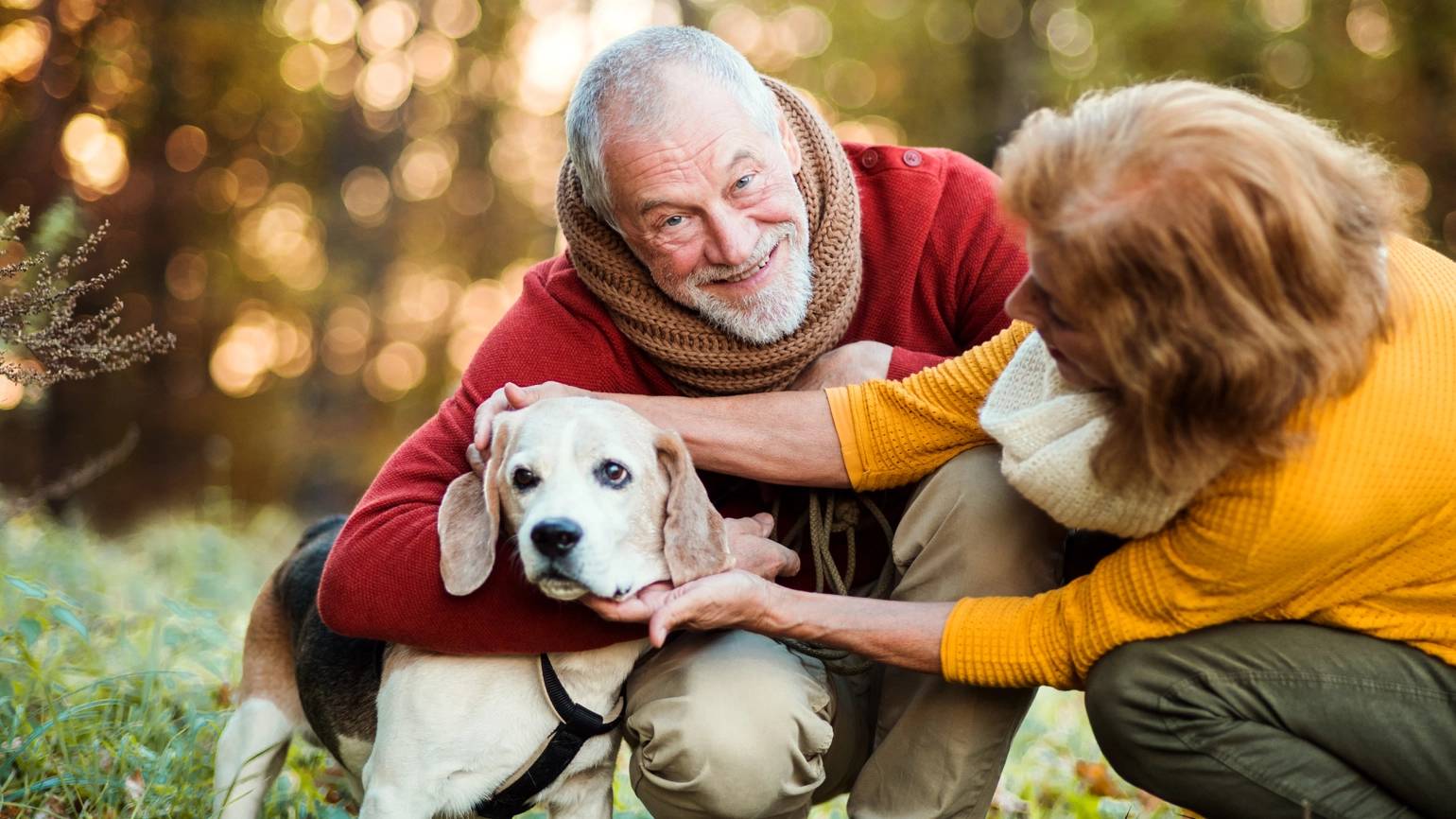 Elderly couple patting their dog in the forest Elderly couple patting their dog in the forest