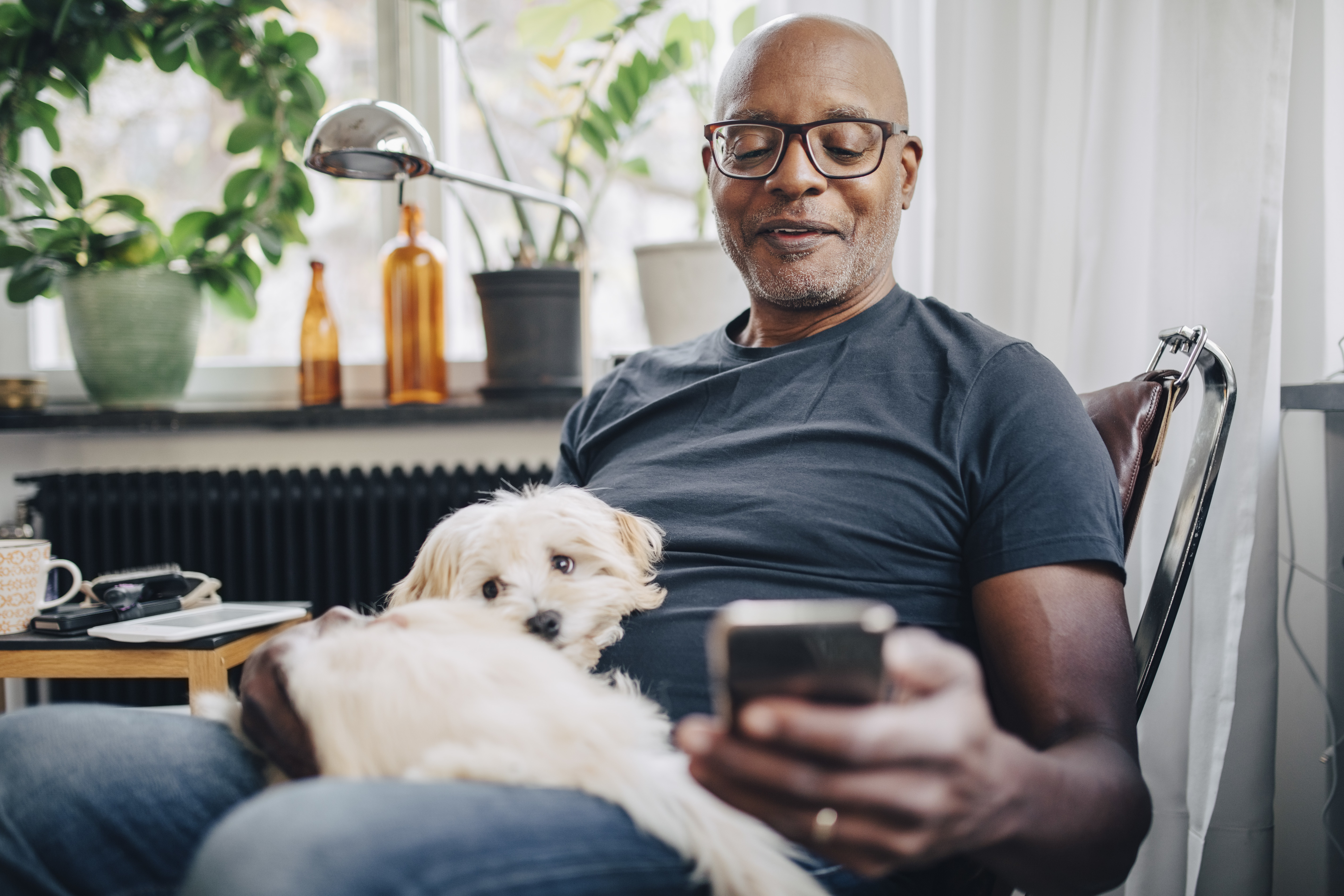 Middle aged male with his dog checking phone in living room 