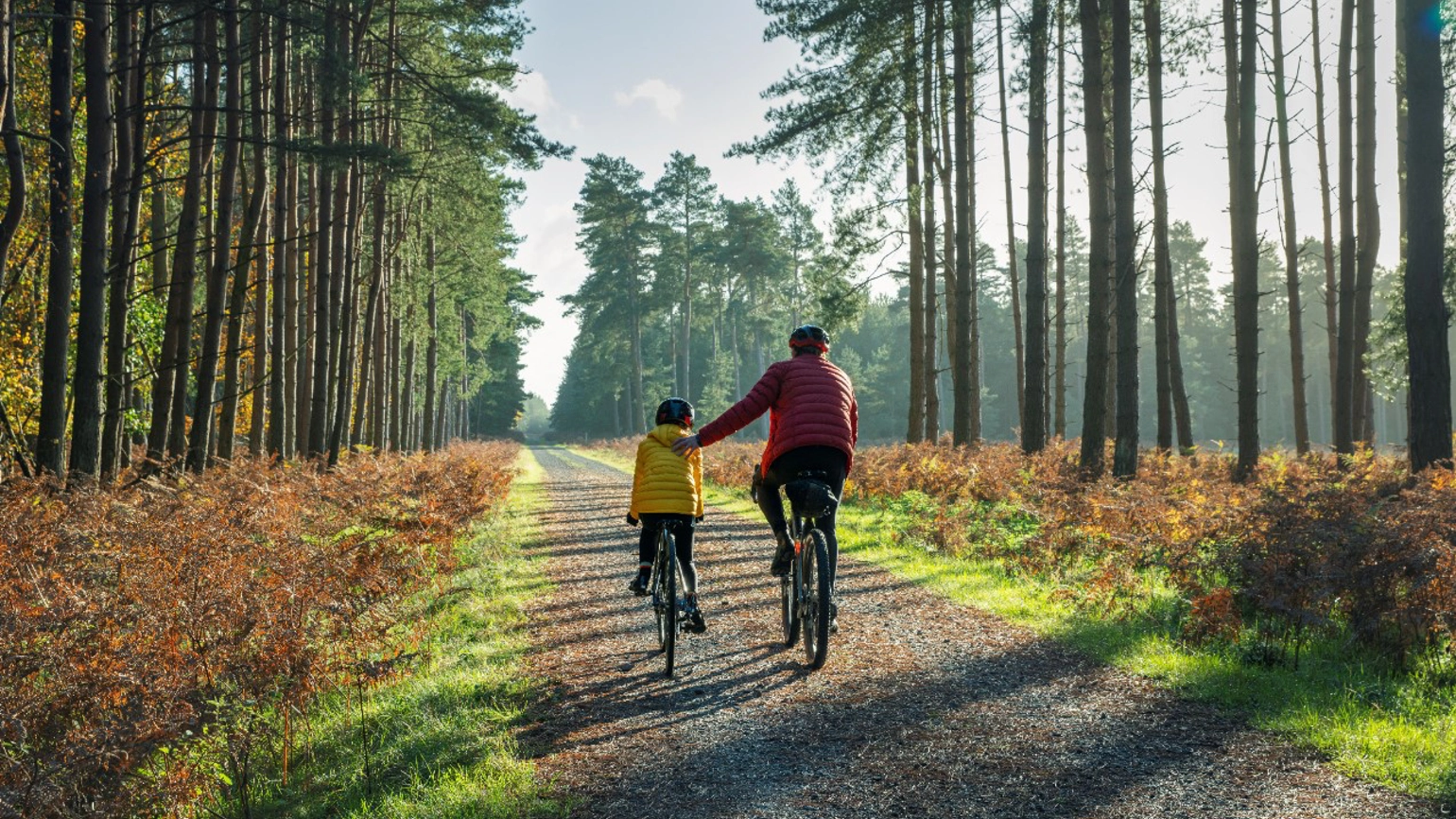 claims rp image claims rp image