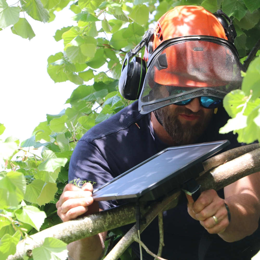 A Wakehurst arborist installing a solar panel to power a bioacoustics monitor. A Wakehurst arborist installing a solar panel to power a bioacoustics monitor.