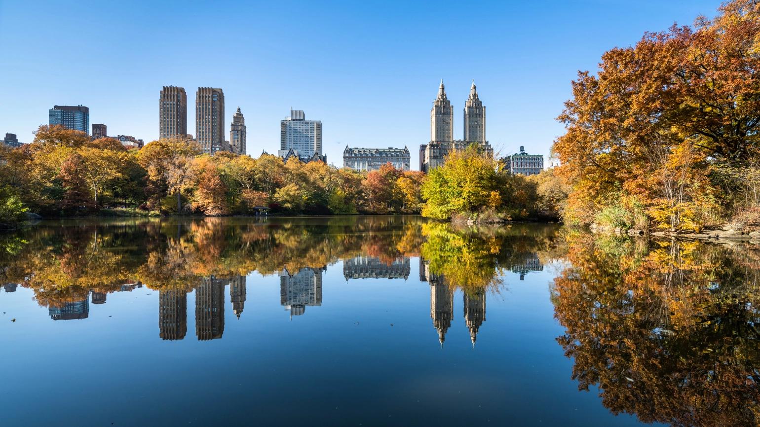 Photo of central park in autumn Photo of central park in autumn
