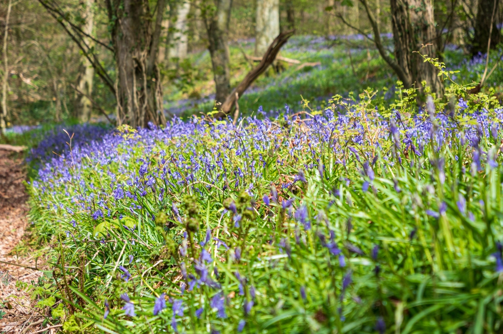 Gettyimages 2014441301 Gettyimages 2014441301