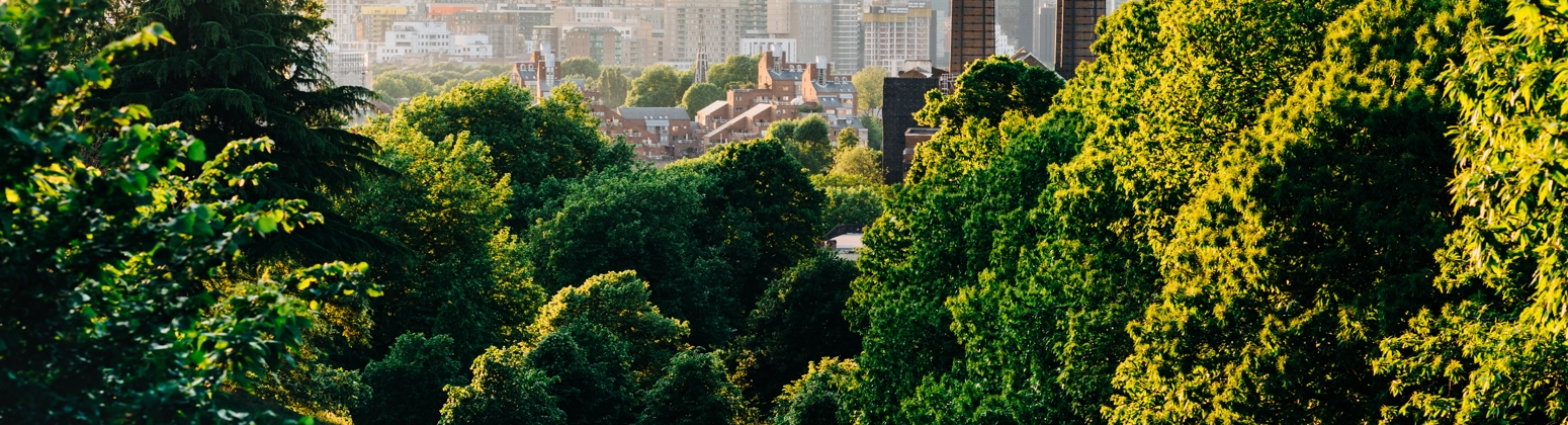 A couple sit in Greenwich Park, London, UK, looking at the Canary Wharf skyline. A couple sit in Greenwich Park, London, UK, looking at the Canary Wharf skyline.