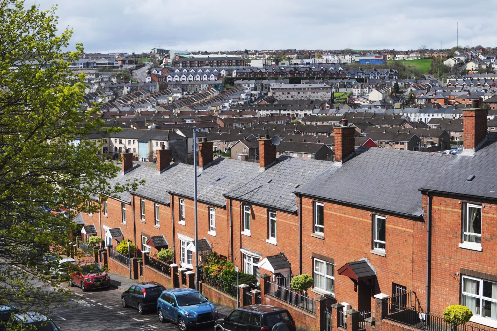 Photograph of houses down a residential street 