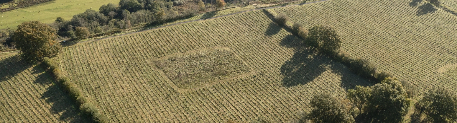 The Carbon Community arial view of the science plots  The Carbon Community arial view of the science plots