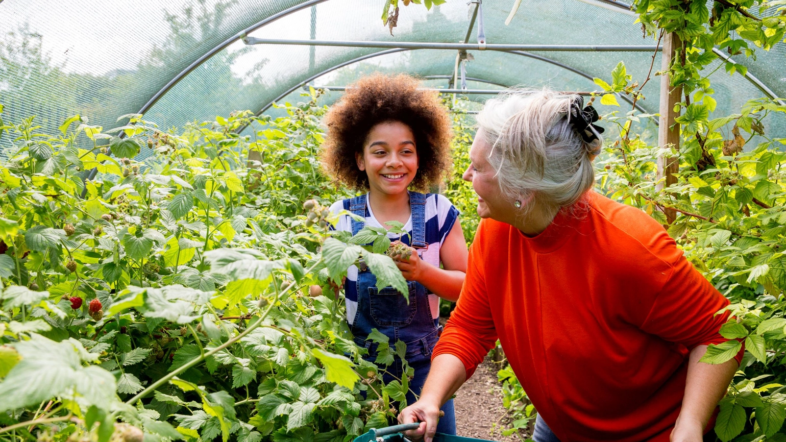 Rbi Wave 3 Sm (1) Rbi Wave 3 Sm (1)