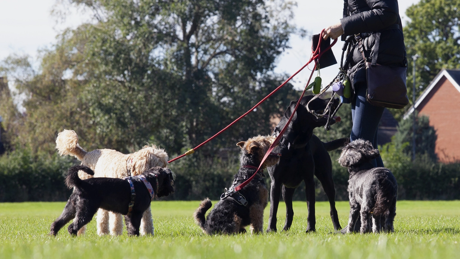 Gettyimages 1346050863 (1) Gettyimages 1346050863 (1)