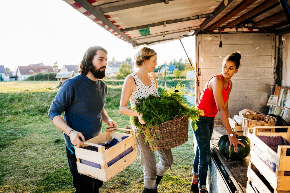 Two female and one male farmer stocking vegetables in their van Two female and one male farmer stocking vegetables in their van