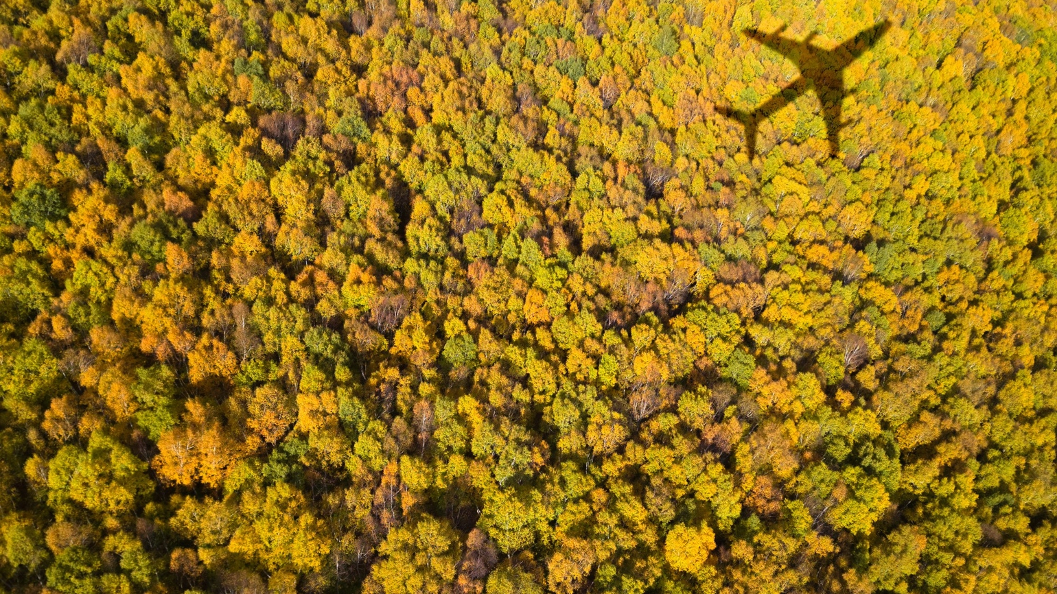 An aerial view of a forest adorned in autumnal hues, with the shadow of an airplane cast upon the tops of the trees. An aerial view of a forest adorned in autumnal hues, with the shadow of an airplane cast upon the tops of the trees.