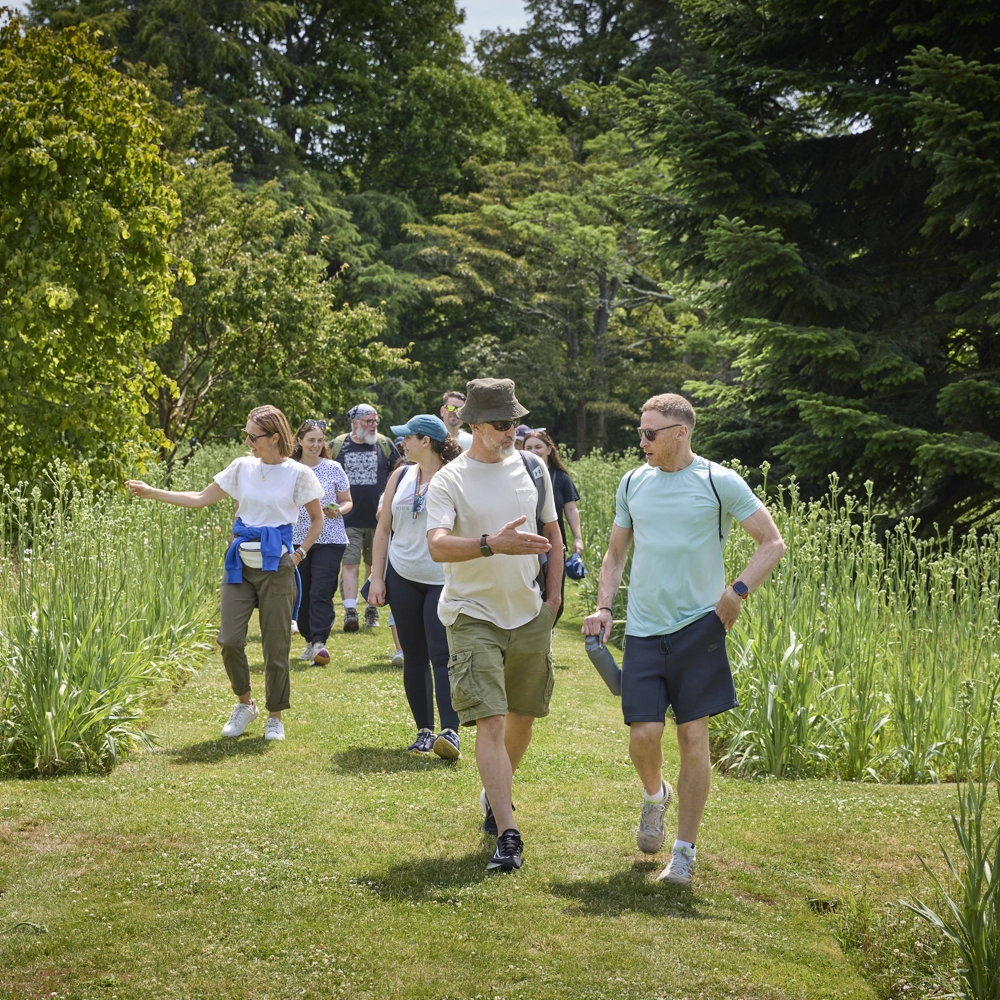 A group of people walking along a grassy path surrounded by tall green plants and trees, dressed in casual outdoor clothing with some wearing hats and carrying backpacks. A group of people walking along a grassy path surrounded by tall green plants and trees, dressed in casual outdoor clothing with some wearing hats and carrying backpacks.