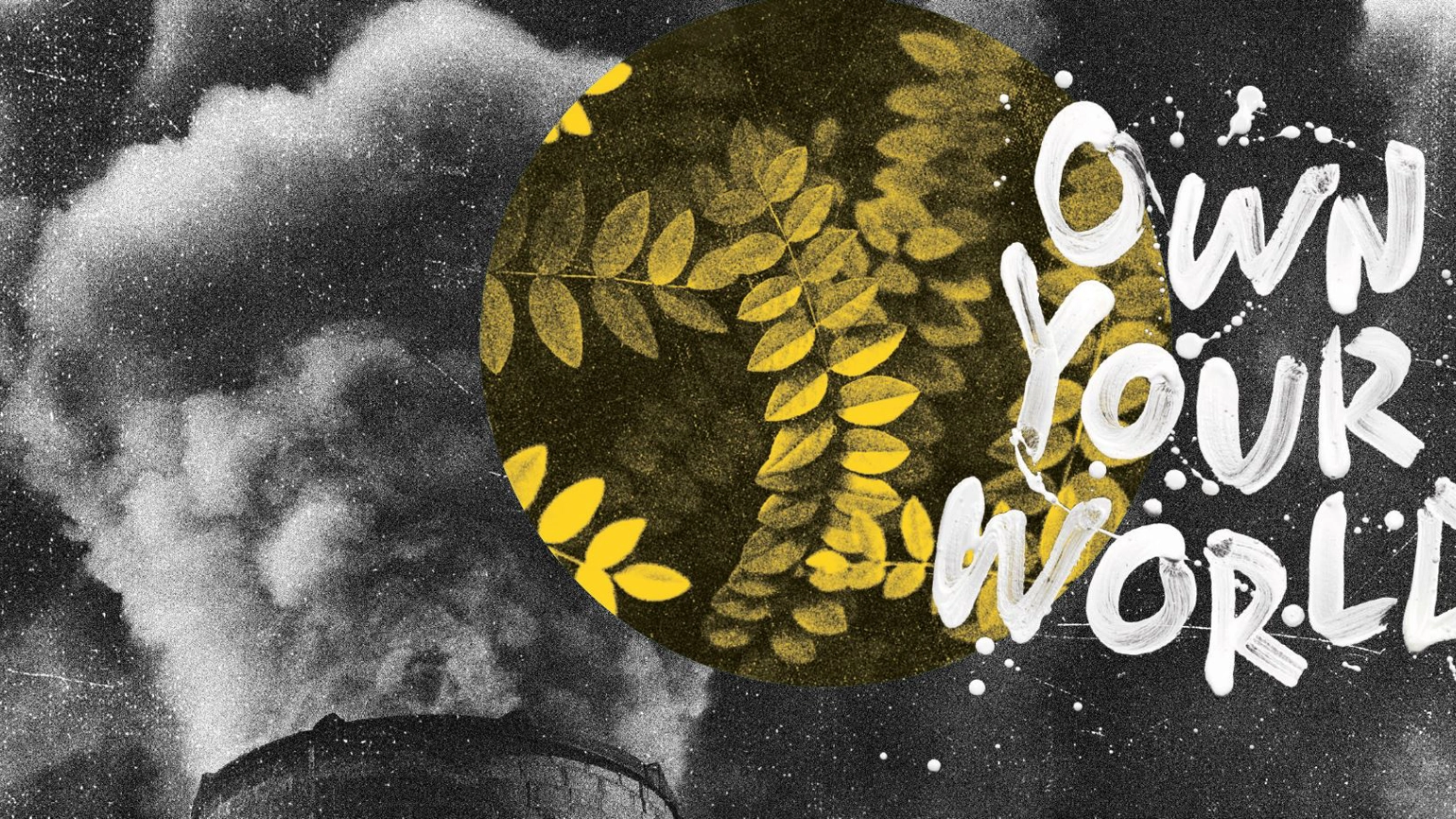 Own my world banner image Own my world banner image