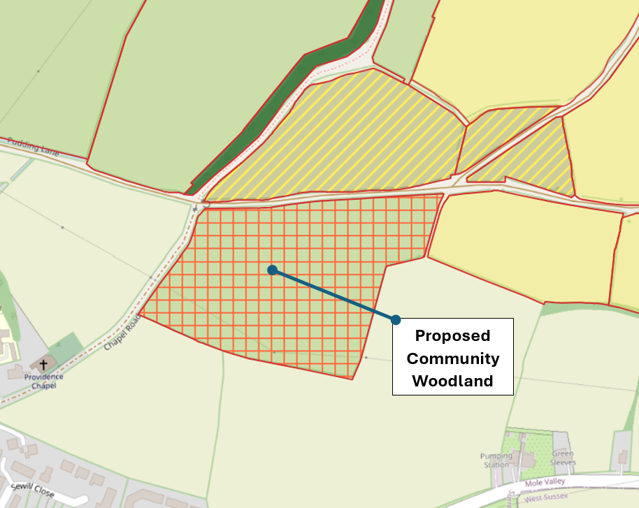 A map highlighting the area of proposed community woodland.